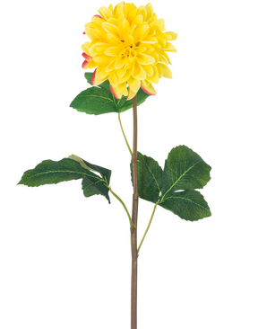 Die künstliche Blumen-Dahlie Real Touch Yellow 73 cm ist eine einzelne gelbe Dahlie mit runden Blütenblättern und roten Akzenten, einem langen grünen Stiel und einer Reihe großer grüner Blätter vor einem weißen Hintergrund.