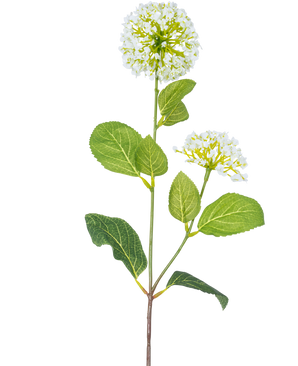 Der künstliche Blumenschneeball/Viburnum (70 cm) hat zwei Büschel kleiner weißer Blüten und mehrere grüne ovale Blätter an einem Stiel vor einem weißen Hintergrund.