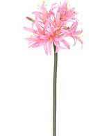 Die künstliche Blume Nerine 70 cm rosa hat einen hohen grünen Stiel mit einer Gruppe zarter, spinnenrosa Blüten mit langen Blütenblättern und gelben Staubgefäßen vor einem schlichten weißen Hintergrund.
