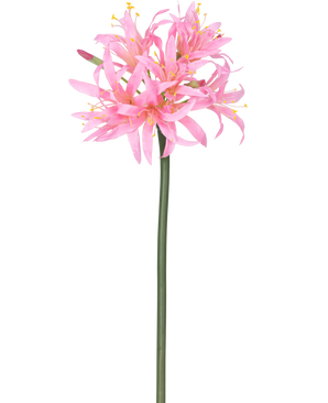 Die künstliche Blume Nerine 70 cm rosa hat einen hohen grünen Stiel mit einer Gruppe zarter, spinnenrosa Blüten mit langen Blütenblättern und gelben Staubgefäßen vor einem schlichten weißen Hintergrund.