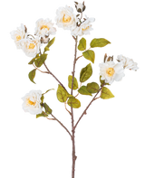De Kunsttak roos 72 cm wit heeft een enkele bruine stengel met meerdere takken, groene bladeren en verschillende grote witte bloemen met gele harten, geïsoleerd op een witte achtergrond.