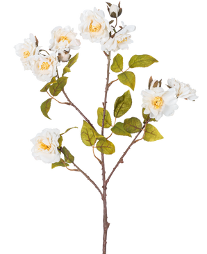 De Kunsttak roos 72 cm wit heeft een enkele bruine stengel met meerdere takken, groene bladeren en verschillende grote witte bloemen met gele harten, geïsoleerd op een witte achtergrond.