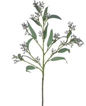 Der künstliche Zweig Eukalyptusbeere 78 cm grau hat einen einzelnen grünen Zweig mit langen, schmalen Blättern und Büscheln kleiner, gräulicher Knospen, dargestellt vor einem weißen Hintergrund.