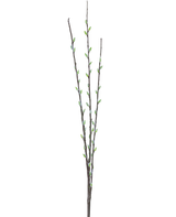 Die Kunstblume Salix-Weide 70 cm hat drei schlanke braune Zweige mit kleinen grünen Knospen und hellgrauen, flauschigen Kätzchen, die entlang der Stiele vor einem schlichten weißen Hintergrund angeordnet sind.