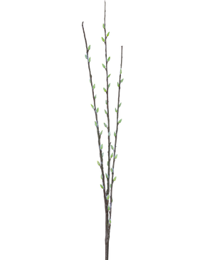 Die Kunstblume Salix-Weide 70 cm hat drei schlanke braune Zweige mit kleinen grünen Knospen und hellgrauen, flauschigen Kätzchen, die entlang der Stiele vor einem schlichten weißen Hintergrund angeordnet sind.