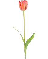 Eine einzelne künstliche französische Tulpe 63 cm orange mit einem langen grünen Stiel und zwei grünen Blättern, isoliert auf weißem Hintergrund.