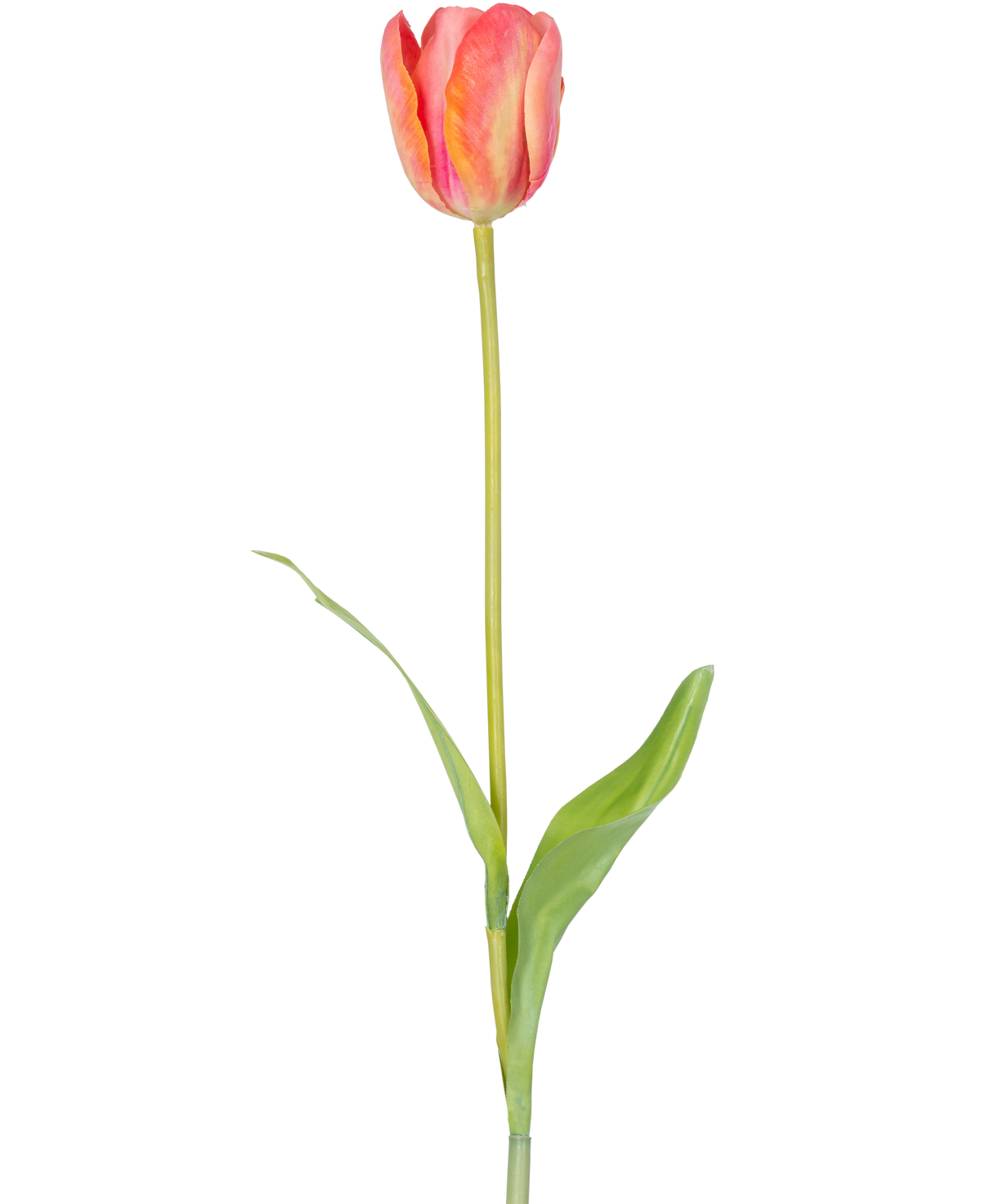 Eine einzelne künstliche französische Tulpe 63 cm orange mit einem langen grünen Stiel und zwei grünen Blättern, isoliert auf weißem Hintergrund.