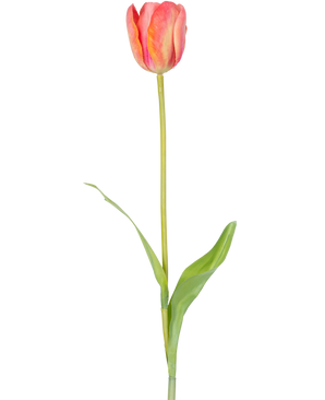Eine einzelne künstliche französische Tulpe 63 cm orange mit einem langen grünen Stiel und zwei grünen Blättern, isoliert auf weißem Hintergrund.