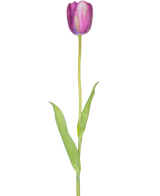 Eine künstliche französische Tulpe 60 cm lila, eine einzelne lila Tulpe mit grünen Blättern und einem langen Stiel, isoliert auf weißem Hintergrund.