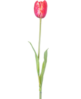 Eine einzelne künstliche französische Tulpe, 60 cm, rot, mit leuchtend roten Blütenblättern und grünen Blättern an einem Stiel, vor einem weißen Hintergrund.