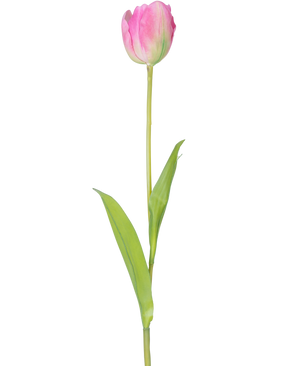 Eine einzelne künstliche französische Tulpe, 63 cm, rosa, mit einem langen grünen Stiel und zwei grünen Blättern, isoliert auf weißem Hintergrund.