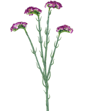 Der künstliche Zweig Statice 64 cm dunkelviolett hat drei schlanke grüne Stiele mit mehreren Zweigen, die jeweils mit einer Reihe kleiner, gerüschter dunkelvioletter Blüten bedeckt sind, alle vor einem weißen Hintergrund.