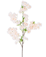 Ein einzelner künstlicher Kirschblütenzweig, 100 cm, weiß/rosa, mit Büscheln hellrosa und weißer Kirschblüten mit grünen Blättern, isoliert auf weißem Hintergrund.