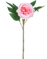 Die künstliche Pfingstrose Real Touch Pink 58 cm ist eine künstliche rosa Pfingstrose mit geschichteten Blütenblättern, einem gelben Herzen, grünen Blättern und einem langen braunen Stiel, dargestellt vor einem schlichten weißen Hintergrund.