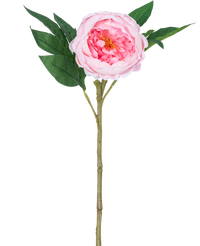 Künstliche Pfingstrose Real Touch Rosa 58cm