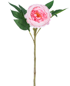 Die künstliche Pfingstrose Real Touch Pink 58 cm ist eine künstliche rosa Pfingstrose mit geschichteten Blütenblättern, einem gelben Herzen, grünen Blättern und einem langen braunen Stiel, dargestellt vor einem schlichten weißen Hintergrund.