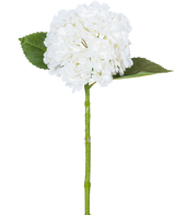 Die künstliche Hortensie „Annabelle“ Real Touch White 55 cm hat eine einzelne weiße Hortensienblüte mit einem runden Blütenbüschel, zwei großen grünen Blättern und einem langen grünen Stiel vor einem schlichten weißen Hintergrund.