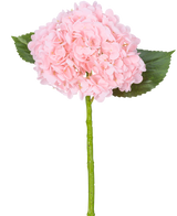Die künstliche Hortensie „Annabelle“ Real Touch Pink 55 cm hat eine einzelne rosa Hortensienblüte mit Blütenblättern, zwei grünen Blättern und einem langen grünen Stiel vor einem weißen Hintergrund.
