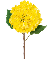 Die künstliche Blumenhortensie Real Touch gelb 58 cm besteht aus einer einzelnen gelben Hortensie mit geschichteten Blütenblättern, zwei großen grünen Blättern und einem braunen Stiel vor einem schlichten weißen Hintergrund.