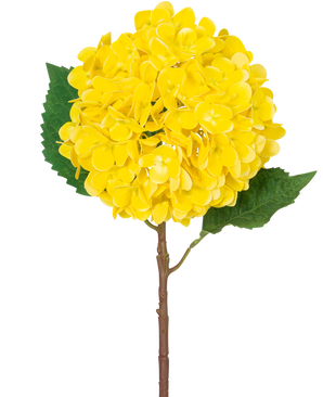 Die künstliche Blumenhortensie Real Touch gelb 58 cm besteht aus einer einzelnen gelben Hortensie mit geschichteten Blütenblättern, zwei großen grünen Blättern und einem braunen Stiel vor einem schlichten weißen Hintergrund.