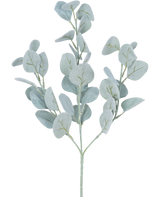 Die ca. 68 cm große Kunstblume Eukalyptus hat hellgrüne, runde Blätter an dünnen Stielen, die sich schön vor einem weißen Hintergrund abheben.
