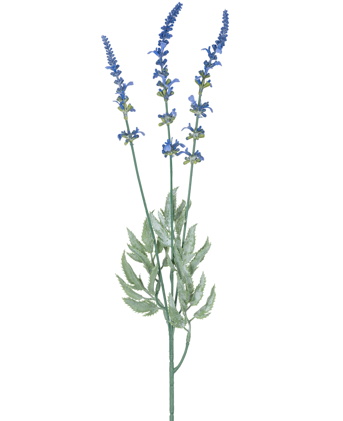 Eine botanische Illustration des künstlichen Lavendelzweigs 66 cm blau zeigt drei lange, dünne Stiele mit kleinen blauen Blütenbüscheln und länglichen grünen Blättern vor einem weißen Hintergrund.
