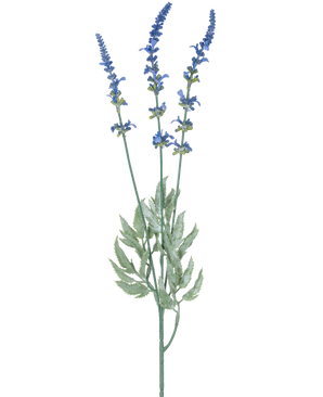 Eine botanische Illustration des künstlichen Lavendelzweigs 66 cm blau zeigt drei lange, dünne Stiele mit kleinen blauen Blütenbüscheln und länglichen grünen Blättern vor einem weißen Hintergrund.