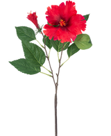 Die künstliche Hibiskusblume 63 cm rot hat einen einzelnen Stiel mit leuchtend roten Hibiskusblüten und grünen Blättern vor einem schlichten weißen Hintergrund.