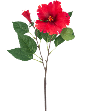 Die künstliche Hibiskusblume 63 cm rot hat einen einzelnen Stiel mit leuchtend roten Hibiskusblüten und grünen Blättern vor einem schlichten weißen Hintergrund.