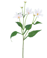 Die künstliche Blume Madelief 76 cm weiß hat einen einzelnen grünen Stiel mit mehreren großen Blättern und fünf gänseblümchenähnlichen weißen Blüten mit einem gelben Herzen auf einem schlichten weißen Hintergrund.