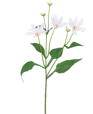 Die künstliche Blume Madelief 76 cm weiß hat einen einzelnen grünen Stiel mit mehreren großen Blättern und fünf gänseblümchenähnlichen weißen Blüten mit einem gelben Herzen auf einem schlichten weißen Hintergrund.