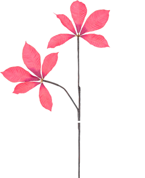 Eine digitale Illustration von Kunsttak Chestnut Leaf 63 cm rot zeigt zwei lange, dünne Stiele mit Büscheln aus fünf leuchtend rosa Blättern vor einem schlichten weißen Hintergrund.