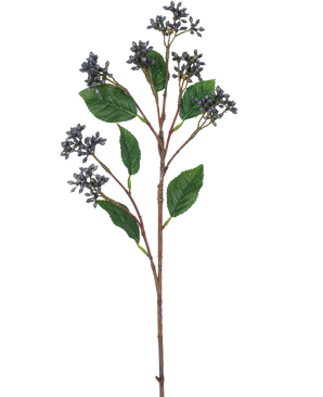 Die japanische Kunsttak-Beere (63 cm) hat Büschel kleiner stahlblauer Beeren und einzelne grüne Blätter an dünnen braunen Stielen vor einem schlichten weißen Hintergrund.