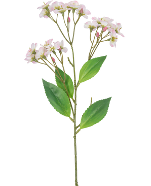 Eine künstliche Blumenorchidee „Real Touch Pink“ von 50 cm mit mehreren Büscheln hellrosa Blüten und grünen Blättern, isoliert auf weißem Hintergrund.