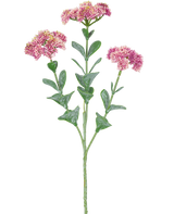 Der künstliche Zweig Sedum 56 cm hellrosa hat einen einzelnen grünen Stiel mit mehreren Zweigen, die jeweils mit Büscheln kleiner, hellrosa Blüten mit abgerundeten Blütenblättern vor einem weißen Hintergrund verziert sind.