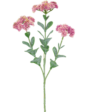 Der künstliche Zweig Sedum 56 cm hellrosa hat einen einzelnen grünen Stiel mit mehreren Zweigen, die jeweils mit Büscheln kleiner, hellrosa Blüten mit abgerundeten Blütenblättern vor einem weißen Hintergrund verziert sind.