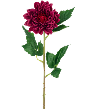 Die künstliche Blumen-Dahlie Real Touch dunkelrot 54 cm hat eine einzelne tiefrote Dahlienblüte mit grünen Blättern an einem Stiel, isoliert vor einem weißen Hintergrund.