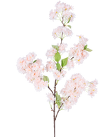 Eine einzelne künstliche Kirschblüte 100 cm hellrosa hat Büschel hellrosa Kirschblüten mit grünen Blättern auf weißem Hintergrund.