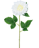 Die künstliche Blumen-Dahlie Real Touch weiß 54 cm hat einen einzelnen weißen Dahlienstiel mit einem gelben Herzen und grünen Blättern vor einem schlichten weißen Hintergrund.