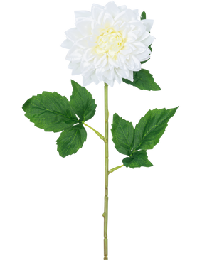 Die künstliche Blumen-Dahlie Real Touch weiß 54 cm hat einen einzelnen weißen Dahlienstiel mit einem gelben Herzen und grünen Blättern vor einem schlichten weißen Hintergrund.