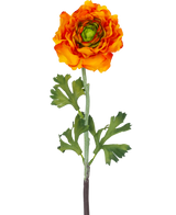 Die künstliche Ranunkelblume 51 cm orange ist eine künstliche orangefarbene Ranunkelblume mit geschichteten Blütenblättern und grünen Blättern auf einem langen Stiel, die sich perfekt als dekorativer Akzent eignet.