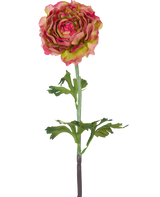 Die künstliche Ranunkel 51 cm rosa/grün ist eine einzelne künstliche Ranunkel mit rosa und grünen Blütenblättern, grünen Blättern und einem langen Stiel vor einem weißen Hintergrund.