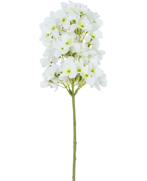 Der künstliche Blumen-Schneeball Real Touch White 58 cm hat einen einzelnen Stiel mit Büscheln kleiner weißer Blüten und hellgrünen Herzen vor einem schlichten weißen Hintergrund.
