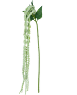 Die Kunstblume Amaranthus 124 cm grün hat einen einzelnen grünen Stiel mit langen, hängenden Büscheln kleiner, hellgrüner Blüten und zwei große grüne Blätter vor einem weißen Hintergrund.