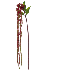 Künstliche Blume Amaranthus 122 cm weinrot
