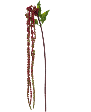 Die Kunstblume Amaranthus 122 cm weinrot hat einen einzelnen künstlichen Amaranth-Stiel mit grünen Blättern und langen Büscheln kleiner, weinroter Blüten vor einem weißen Hintergrund.