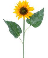 Die künstliche Sonnenblume 52 cm gelb ist eine einzelne künstliche Sonnenblume mit leuchtend gelben Blütenblättern, einem dunkelbraunen Herzen und zwei großen grünen Blättern an einem langen grünen Stiel, isoliert auf weißem Hintergrund.