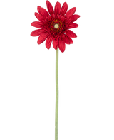 Die künstliche Blumen-Gerbera 53 cm rot besteht aus einer einzelnen roten Gerbera mit geschichteten Blütenblättern und einem gelben Herzen auf einem langen grünen Stiel vor einem schlichten weißen Hintergrund.