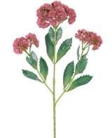 Eine digitale Illustration des künstlichen Zweigs Sedum 48 cm rot zeigt eine blühende Pflanze mit grünen Blättern und Büscheln kleiner, rosa-violetter Blüten an verzweigten Stielen vor einem weißen Hintergrund.