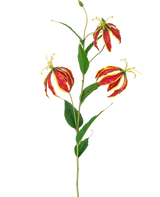 Die künstliche Blume Gloriosa Real Touch Red 75 cm hat einen einzelnen Stiel mit drei leuchtend roten und gelben Lilienblüten und langen grünen Blättern vor einem weißen Hintergrund.